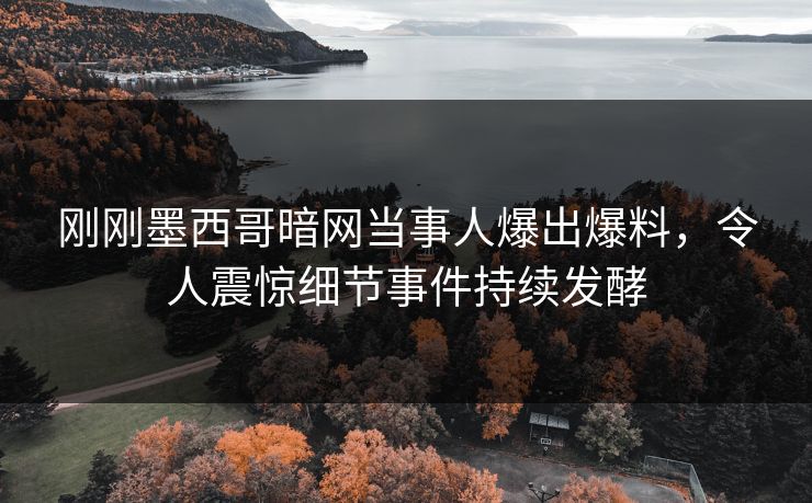 刚刚墨西哥暗网当事人爆出爆料，令人震惊细节事件持续发酵