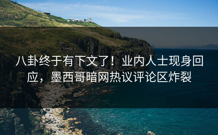 八卦终于有下文了！业内人士现身回应，墨西哥暗网热议评论区炸裂
