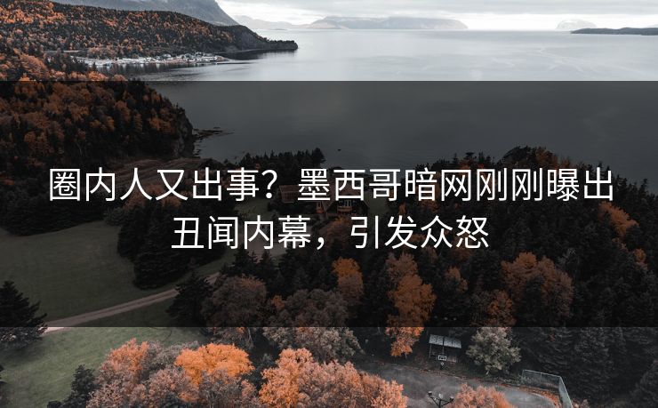 圈内人又出事？墨西哥暗网刚刚曝出丑闻内幕，引发众怒