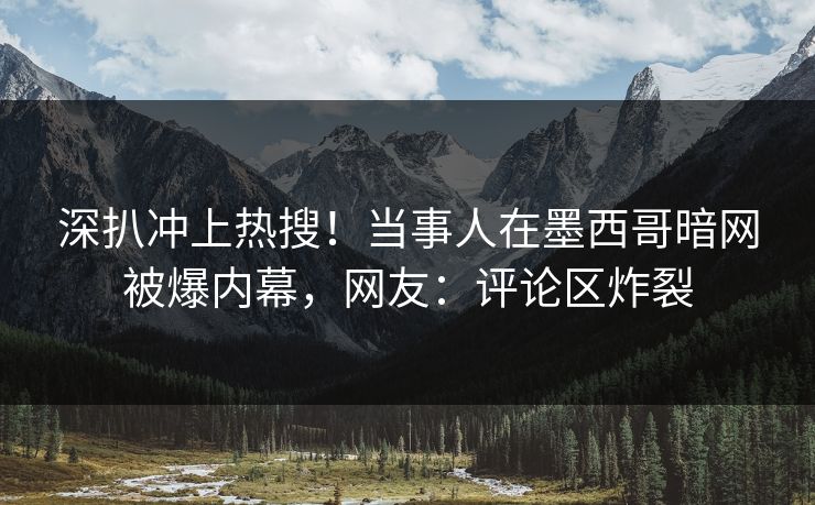 深扒冲上热搜！当事人在墨西哥暗网被爆内幕，网友：评论区炸裂