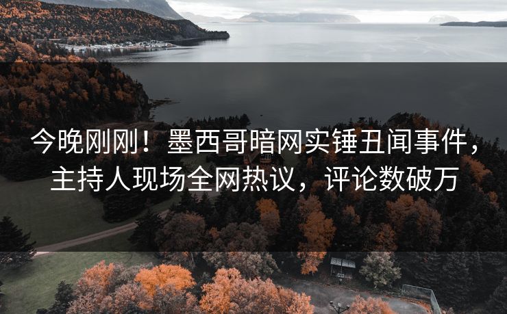 今晚刚刚！墨西哥暗网实锤丑闻事件，主持人现场全网热议，评论数破万