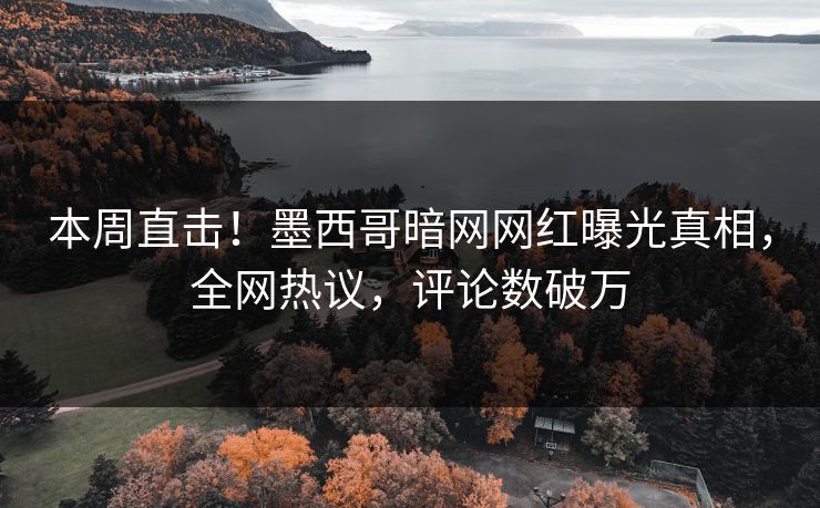 本周直击！墨西哥暗网网红曝光真相，全网热议，评论数破万