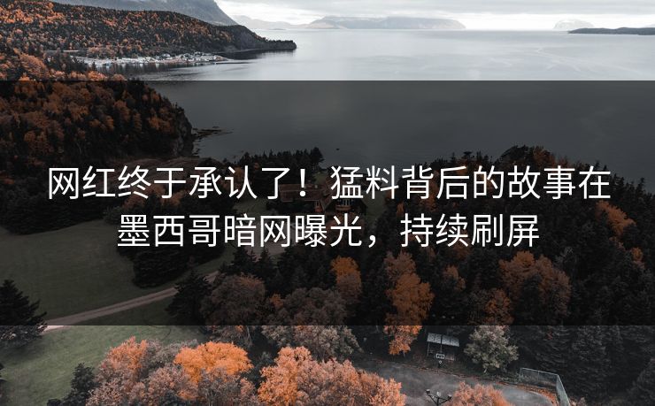 网红终于承认了！猛料背后的故事在墨西哥暗网曝光，持续刷屏