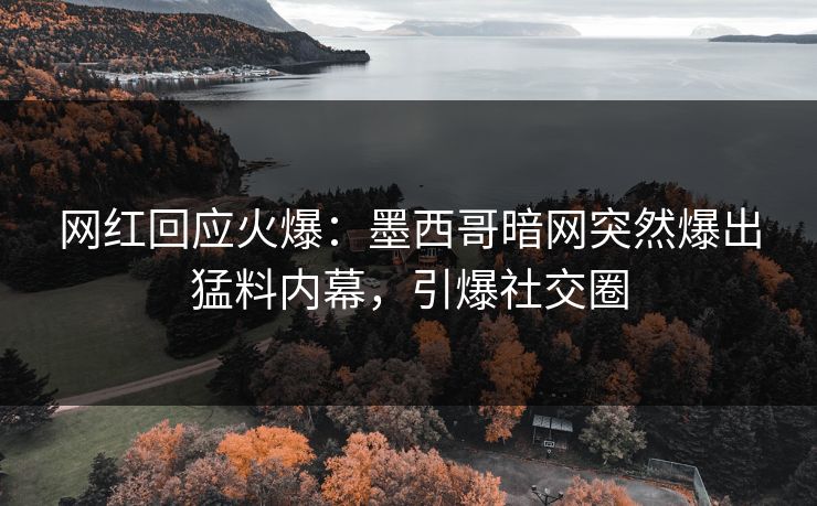 网红回应火爆：墨西哥暗网突然爆出猛料内幕，引爆社交圈