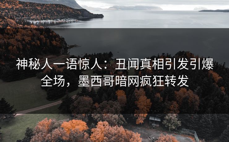 神秘人一语惊人：丑闻真相引发引爆全场，墨西哥暗网疯狂转发