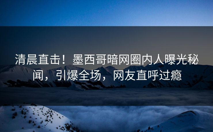 清晨直击！墨西哥暗网圈内人曝光秘闻，引爆全场，网友直呼过瘾