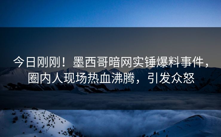 今日刚刚！墨西哥暗网实锤爆料事件，圈内人现场热血沸腾，引发众怒