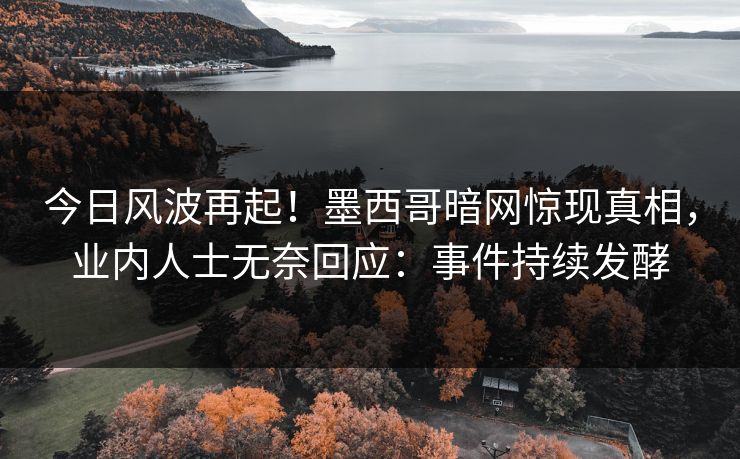 今日风波再起！墨西哥暗网惊现真相，业内人士无奈回应：事件持续发酵