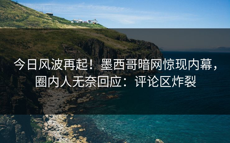 今日风波再起！墨西哥暗网惊现内幕，圈内人无奈回应：评论区炸裂