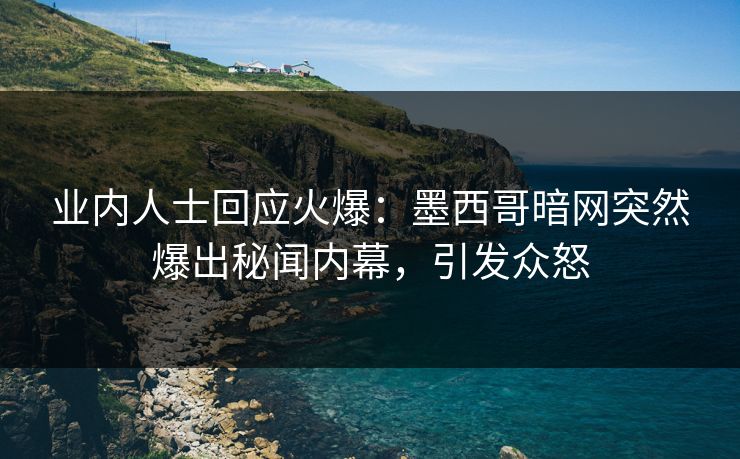 业内人士回应火爆：墨西哥暗网突然爆出秘闻内幕，引发众怒