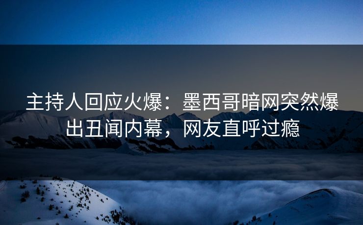 主持人回应火爆：墨西哥暗网突然爆出丑闻内幕，网友直呼过瘾
