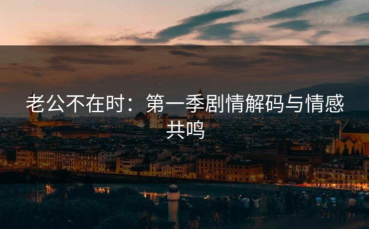 老公不在时：第一季剧情解码与情感共鸣
