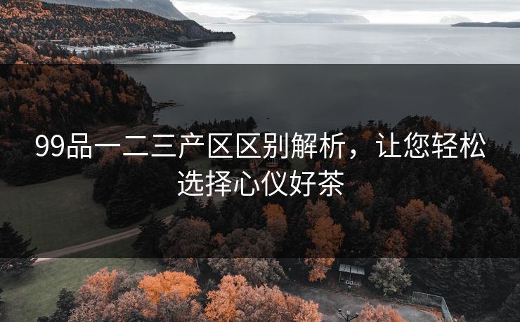99品一二三产区区别解析，让您轻松选择心仪好茶