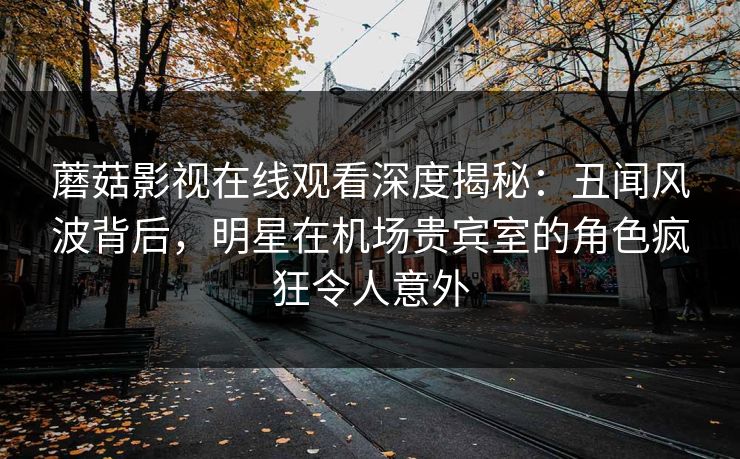 蘑菇影视在线观看深度揭秘：丑闻风波背后，明星在机场贵宾室的角色疯狂令人意外