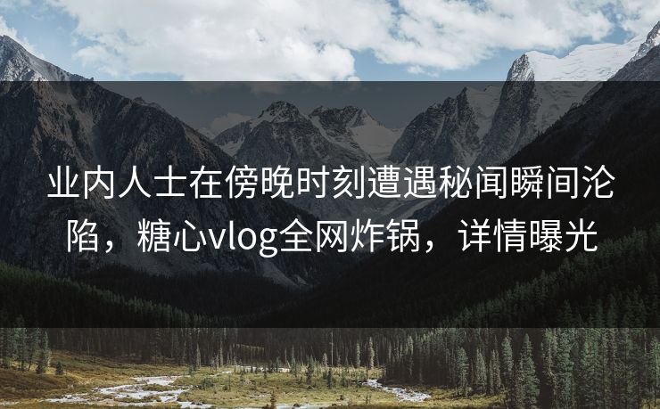 业内人士在傍晚时刻遭遇秘闻瞬间沦陷，糖心vlog全网炸锅，详情曝光