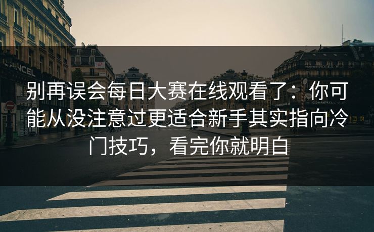 别再误会每日大赛在线观看了：你可能从没注意过更适合新手其实指向冷门技巧，看完你就明白